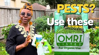 4 Pest Control Products for your Vegetable Garden listed for Organic Use [upl. by Adaven]