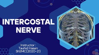 Intercostal Nerve Explained  Full Systemic lecture link in Description [upl. by Link]