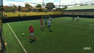 Mike Wazowski vs Scarborough Reds U12 Saturday Morning League [upl. by Nemrak]