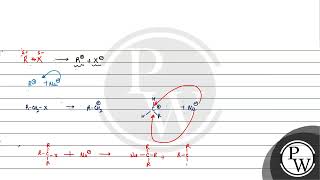 Given below are two statements Statement I  \S  N  2\ reactions are stereospecific i [upl. by Anoniw]