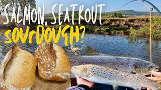 Loaves and Fishes Salmon and sea trout fishing on the River Coquet [upl. by Nerual]