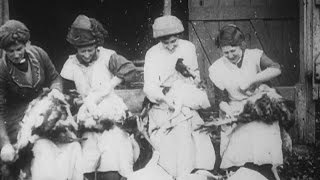 Turkeys for Xmas 1915  BFI National Archive [upl. by Enelear]