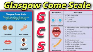 GCS  Understanding Glasgow Coma Scale A Comprehensive Guidequot  Tutor Hanif khan [upl. by Tsyhtema844]