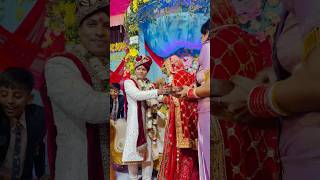 Mere yaar ki shadi h viralvideo weddingphotography wedding shorts viralshorts ❤️😊 [upl. by Eseuqram515]