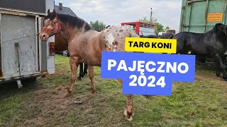 Ogólnopolskie Targi Końskie Pajęczno maj 2024  Targ koni [upl. by Stevana852]