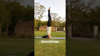 How to do Shirsasa Insta ID manshiyoga yoga ytshorts yogapractice shorts song [upl. by Gillette870]