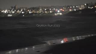 Grunion Run 2023 [upl. by Aivila799]