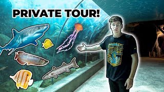 MONSTER FISH  AQUARIUM TOUR [upl. by Ledua]