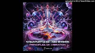 Chronosphere amp Neo Shaman  Principles Of Vibration [upl. by Rik]