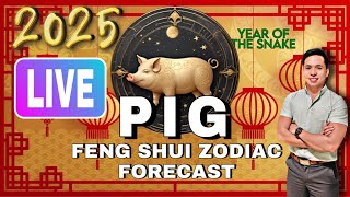 PIG FENG SHUI ZODIAC 2025 FORECAST LIVE [upl. by Anasus]