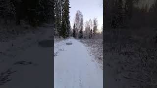 Winter came in Finland bike finland winter forest [upl. by Enel]