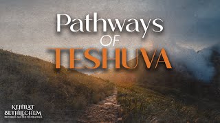 Pathways of Teshuva  Parashat Nitzavim Vayelech [upl. by Sammer]