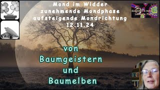 Mond Geflüster von Baumgeistern und Baumelben [upl. by Auohp]