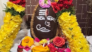 Sri Medha Dakshinamoorthy Abhishekam And Pooja  Tapovanam [upl. by Henson]