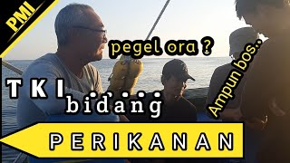 BEGINILAH KERJA DILAUT KOREAㅣFISHING KOREA SELATAN [upl. by Arihsat]