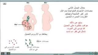 المناعة عامل الرزوس [upl. by Aseyt]