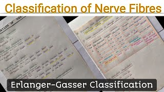 Classification of Nerve Fibres  Erlanger and Gasser Classification of Nerve Fibres [upl. by Notsag957]