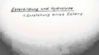 Esterbildung und Hydrolyse  Chemie  Organische Chemie [upl. by Pat]