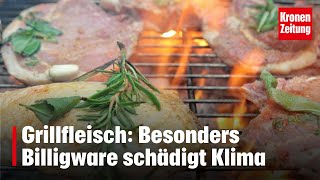 Grillfleisch Besonders Billigware schädigt Klima  kronetv NEWS [upl. by Feucht]