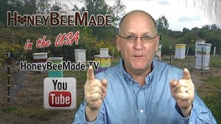 Apis Mellifera  Top 5 Honey Bee Picks [upl. by Azarcon]