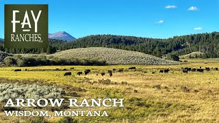 Tour of Montana Ranch For Sale  Arrow Ranch  14982± Acres  Big Hole Valley Montana [upl. by Thinia]