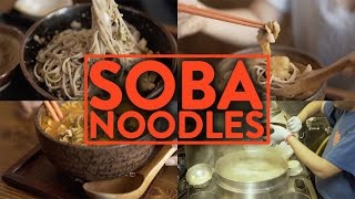 DELICIOUS SOBA NOODLES Japanese Buckwheat Noodles  Fung Bros Food [upl. by Beauchamp534]