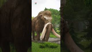 The Giant Mammoth Elephant VS T rexWhich one will Win INDIAN VIDEO ZONE [upl. by Thill]