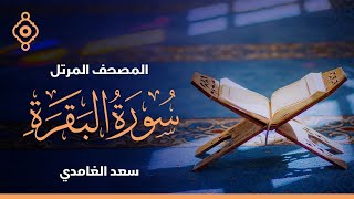 سورة البقرة بصوت القارئ الشيخ سعد الغامدي [upl. by Uahc]