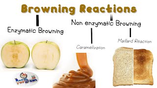 Browning Reactions in Food [upl. by Aititel]