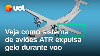 Queda do avião em Vinhedo Animação mostra como aeronaves ATR expulsam gelo da asa [upl. by Viccora]