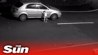 Distressing moment man dumps dog and drives away [upl. by Regazzi771]