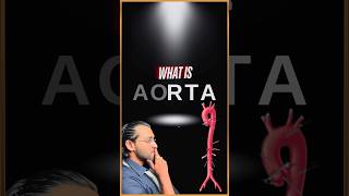 What is Aorta [upl. by Edroi]