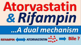 Atorvastatin and Rifampin interaction [upl. by Illek]