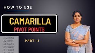 Camarilla Pivot Points for Beginners  Part  I   NIFTY amp BANKNIFTY [upl. by Hartill]