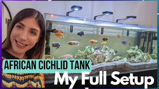 Full African Cichlid Tank Setup  My 6ft Lake Malawi Aquarium [upl. by Hamburger322]