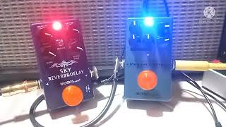 Test Sky Reverb amp Delay  Magnetic Delay [upl. by Strang382]