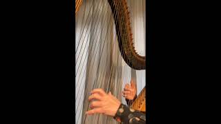 M Glinka Nocturne 1828  Harp Masumi Nagasawa [upl. by Kennedy]