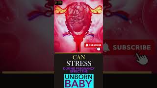 Pregnancy Safety  Precautions and Care  MomJunction baby pregnancy stress [upl. by Nodlehs]