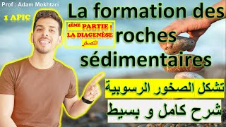 La formation des roches sédimentaires 4ème partie La Diagenèse  التصخر 1ère année international [upl. by Feodora]