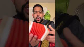 🎵🪗😁Fenomeno Nuevo musica merenguetipico humor comedia parrot [upl. by Velvet826]