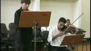 CIMAROSA  OBOE concerto PART I [upl. by Ervin]