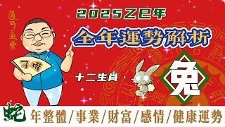 【蛇年｜生肖運勢｜生肖兔】2025年乙巳年整體全年運勢｜詳細解析 生肖兔 全年運勢 財運 事業運勢 健康運勢 感情運勢 ｜子權老師讓您早知曉！ [upl. by Ennaerb]