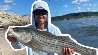 Striped Bass Fishing  A Rig  Eufaula Lake Dam [upl. by Eibo]