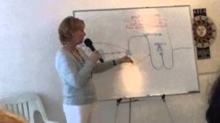 CURSO DIRECTO quotLA ENFERMEDADquot Brigitte Champetier de Ribes México Constelaciones Familiares [upl. by Bihas29]