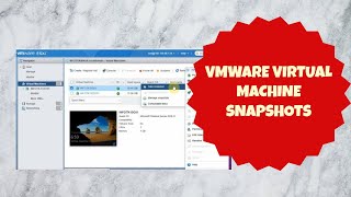 How to take VMware Virtual Machine Snapshots and Revert the Snapshot [upl. by Atsugua638]