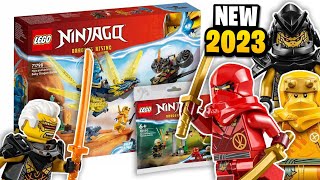 TWO LEGO Ninjago Dragons Rising Sets OFFICIALLY Revealed [upl. by Buatti226]