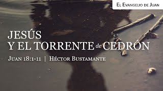 Jesús y el torrente de Cedrón Juan 18111  Héctor Bustamante [upl. by Ahseele]