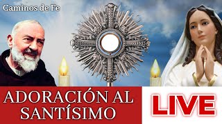 🔴DIRECTO  Adoración al Santísimo en vivo  Live Adoration of the Blessed Sacrament [upl. by Nonie]