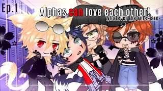 “Alphas can love each otherBLEp1New schoolInspired by Itsyki Moricredits in the Desc [upl. by Nisen226]