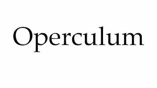 How to Pronounce Operculum [upl. by Oakes]